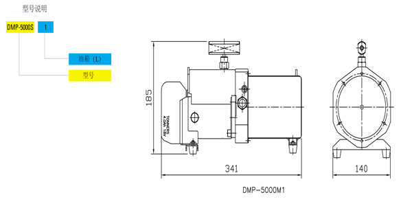 DMP電池泵尺寸圖